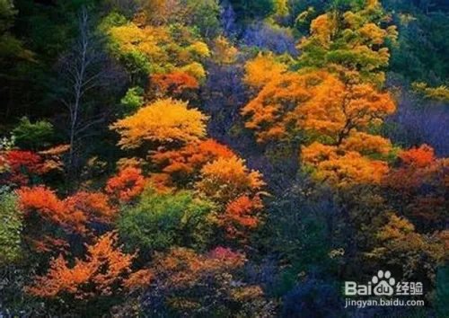 米亚罗旅游攻略