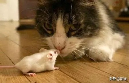 美国新冠肺炎确诊病例已超过10万,预测美国最终会确诊多少?