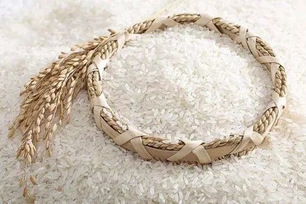 最贵的米多少钱一斤