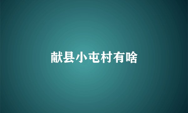 献县小屯村有啥