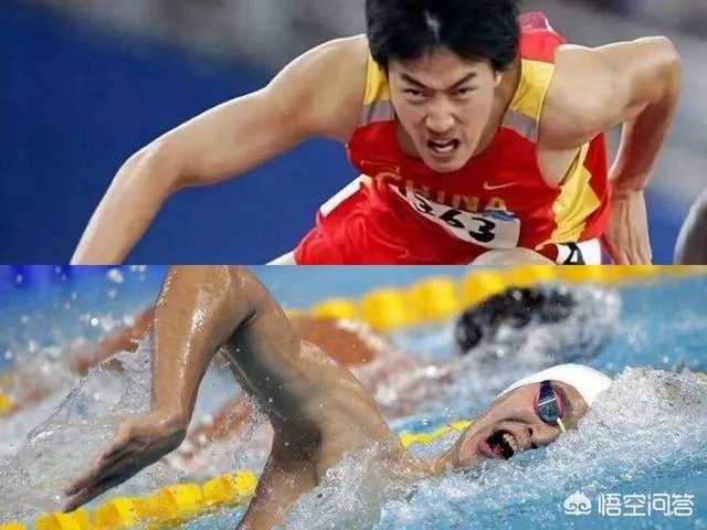 第43名，孙杨连续2年入选世界百大著名运动员排行榜，他和刘翔比，谁的成就更大呢？