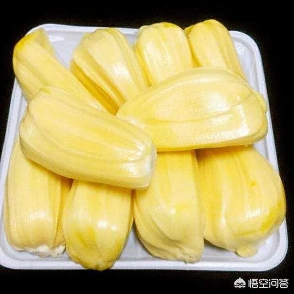 菠萝蜜凤梨菠萝麻