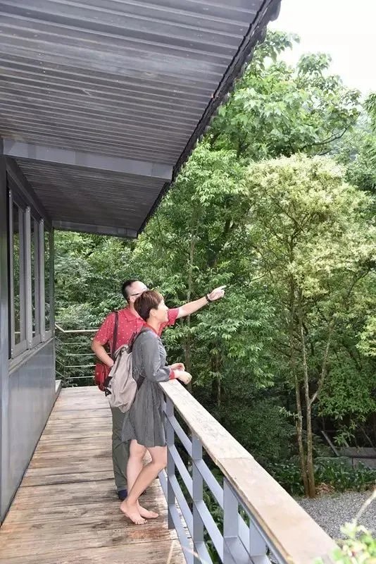 【台湾民宿游记】寻觅台湾民宿的原初精神—— 一次充盈内心天地的美好游学