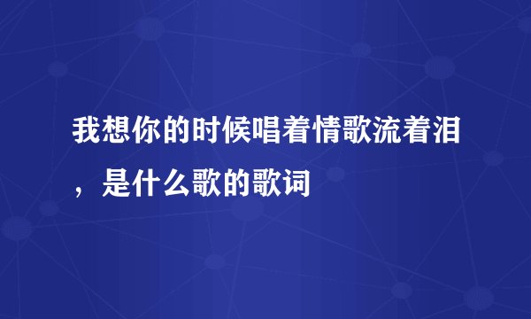 我想你的时候唱着情歌流着泪，是什么歌的歌词