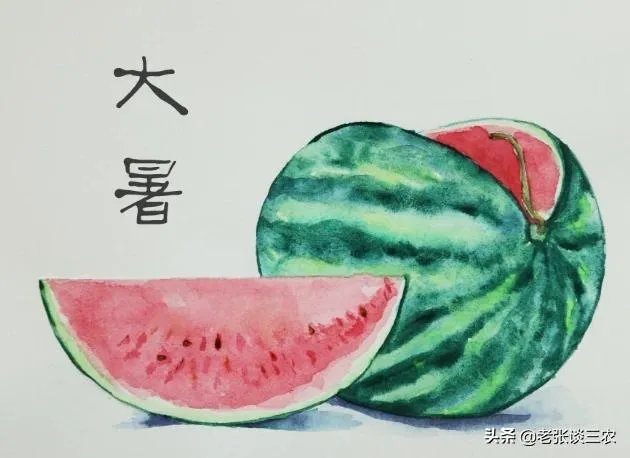 农村老话“大暑凉飕飕，立冬笑死牛”是啥意思？有道理吗？