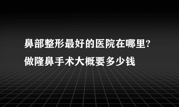 鼻部整形最好的医院在哪里?做隆鼻手术大概要多少钱