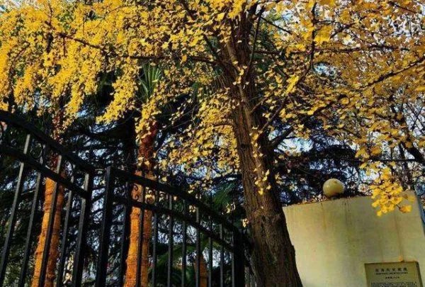 上海周边自驾游有哪些路线？可以说说吗？