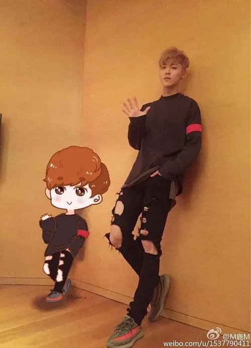 鹿晗的演技配的上天价片酬吗?