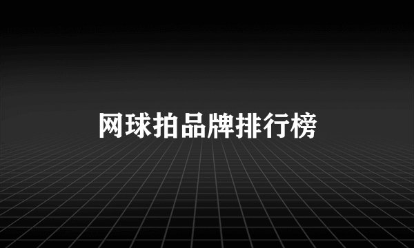 网球拍品牌排行榜