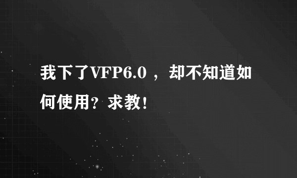 我下了VFP6.0 ，却不知道如何使用？求教！