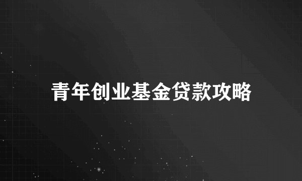 青年创业基金贷款攻略