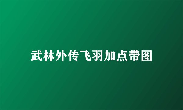 武林外传飞羽加点带图