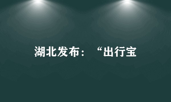 湖北发布：“出行宝