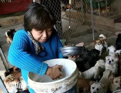 教师卖房养流浪狗 救助站成立至今已有六年